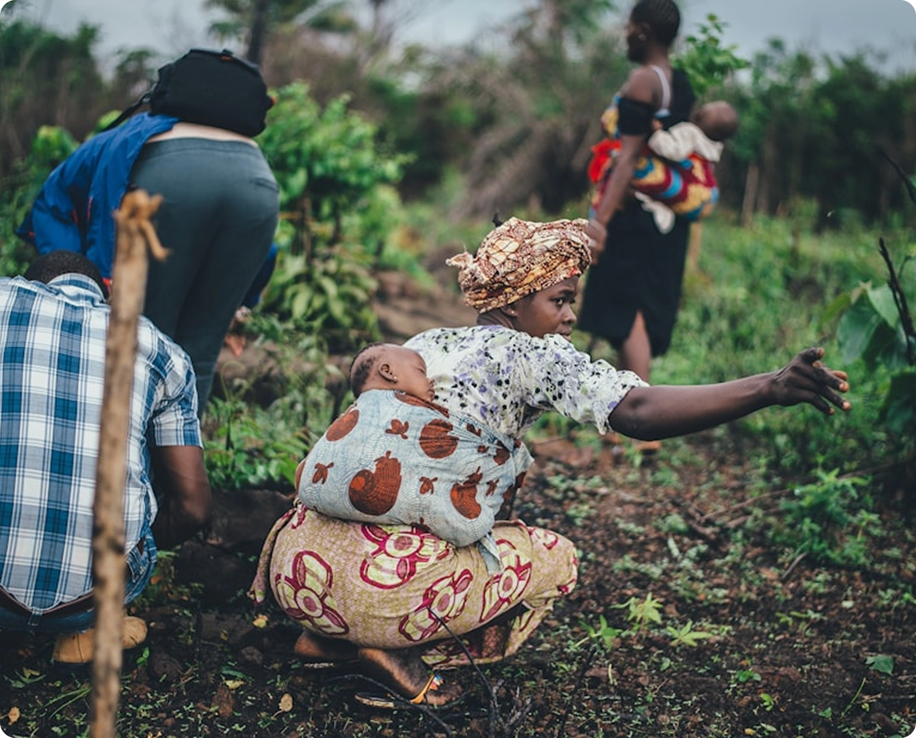 Farmers working in a field